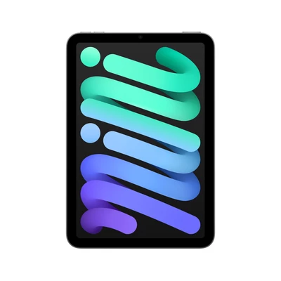 iPad Mini 256GB | iSpot Apple Premium Partner