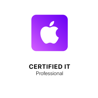 Certified IT Professional logo
