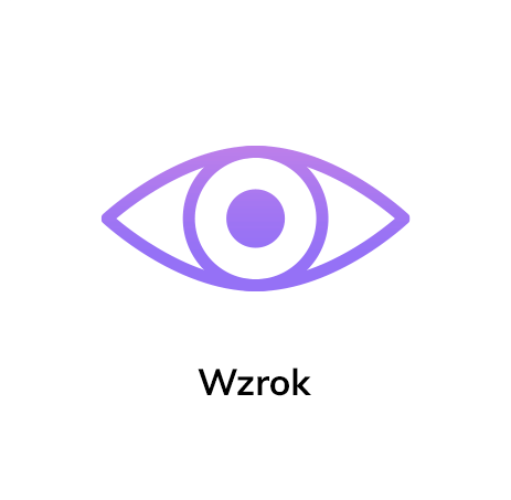Wzrok