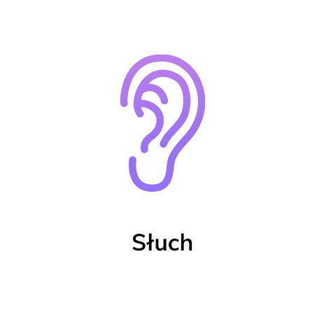 Słuch