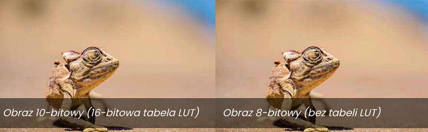 Porównanie jakości obrazu 8-bitowego bez tabeli LUT i obrazu 10-bitowego z 16-bitowej tabeli LUT