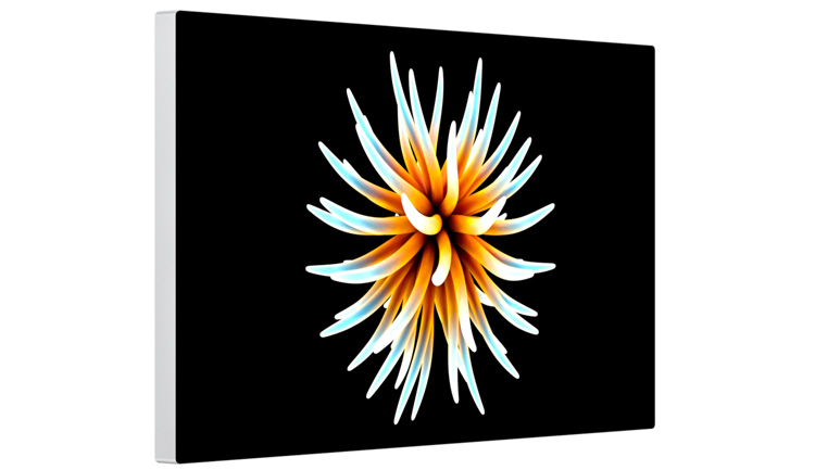 Apple Pro Display XDR