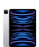 iPad Pro 11″ (4. generacji)